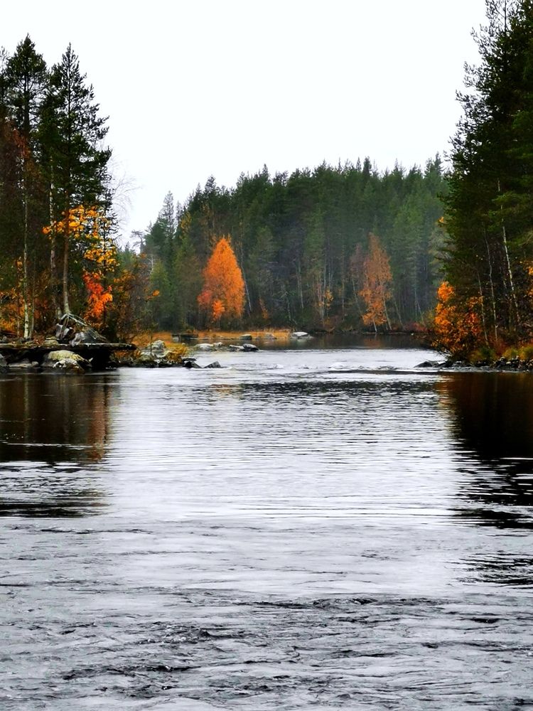 Photograph by Елена Артёменко