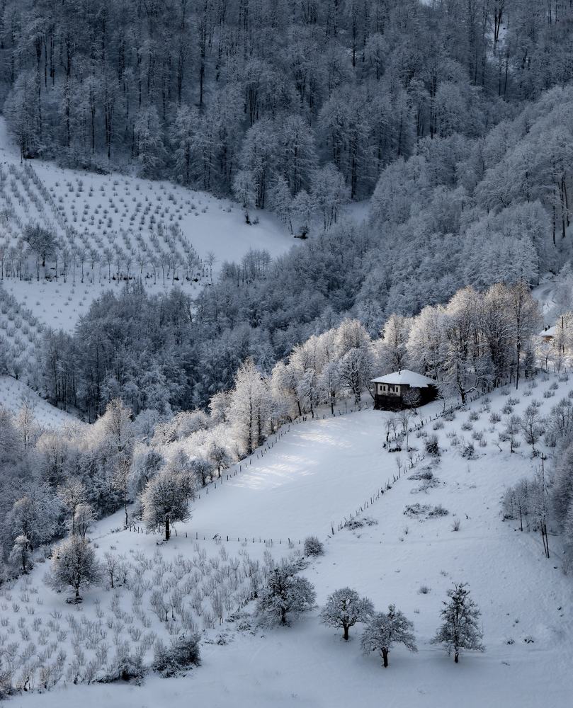 Photograph by NİYAZİ GÜRGEN