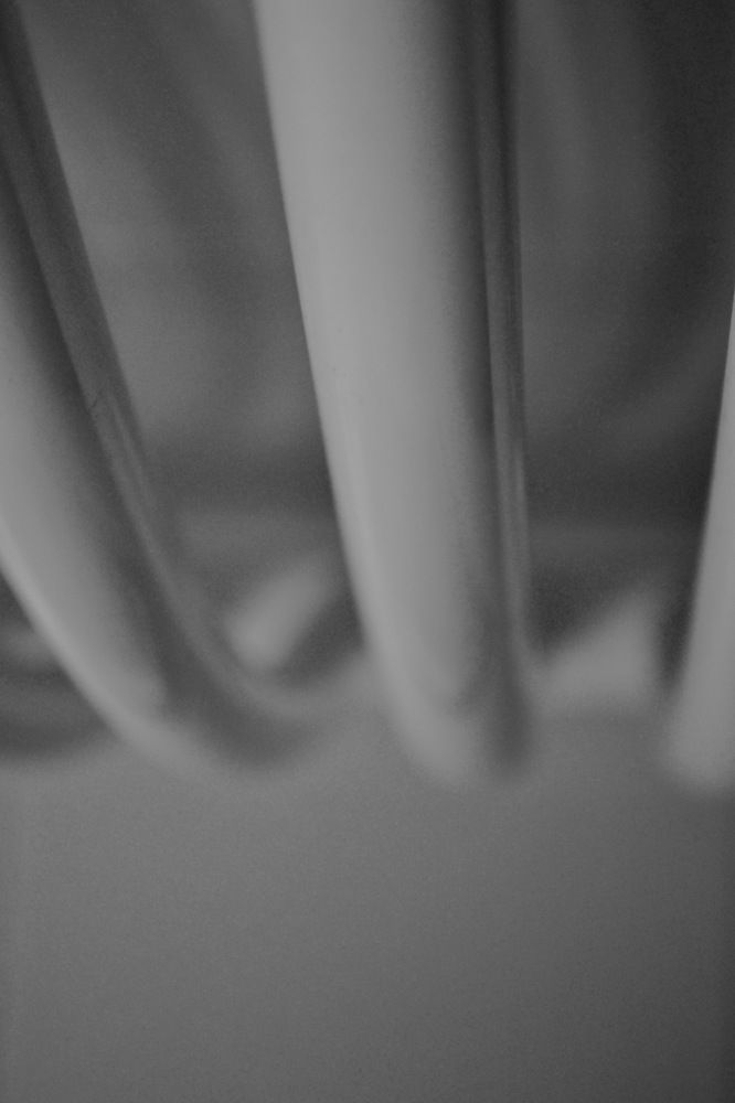 Photograph by Jozsef Cselenyi