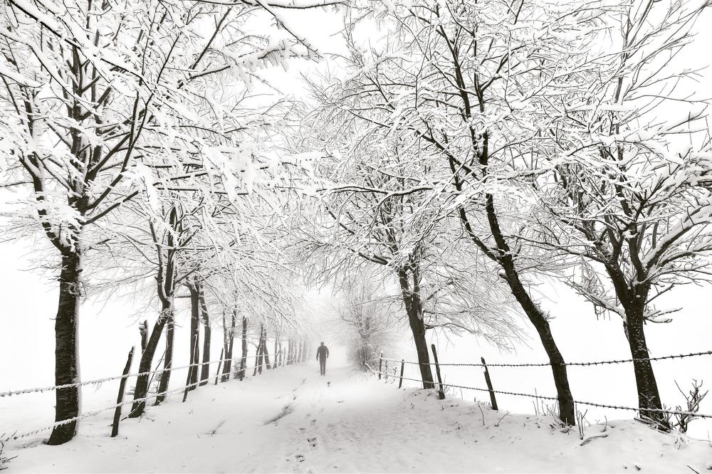 Photograph by NİYAZİ GÜRGEN