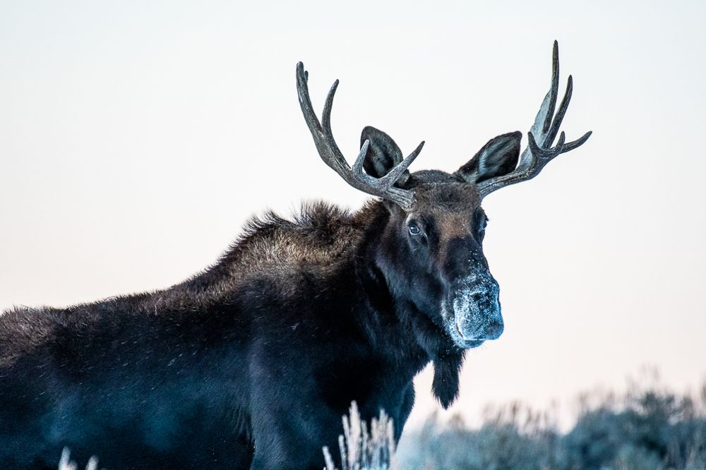 Photograph by Lalit Viswanatham