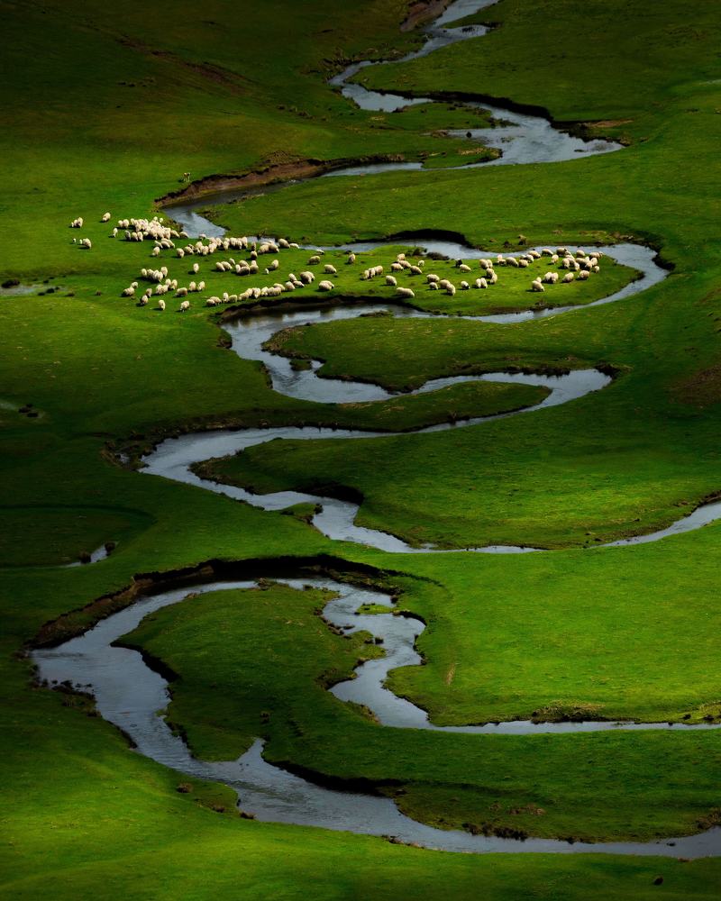 Shepherd of Meanders