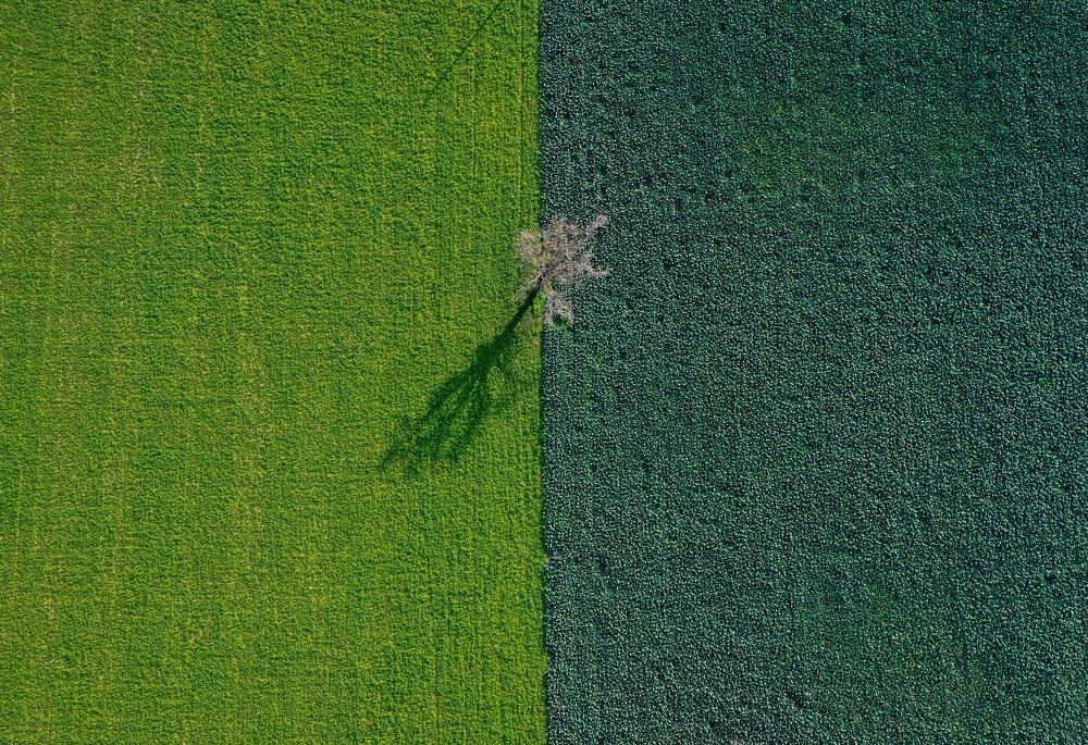 Photograph by NİYAZİ GÜRGEN