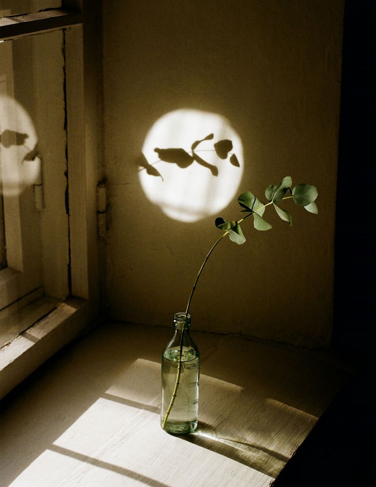 Photograph by Наталья Жук