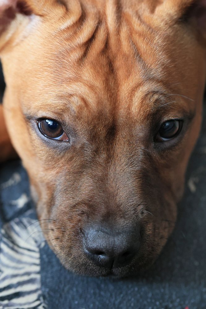 Photograph by Андрей Лысиков