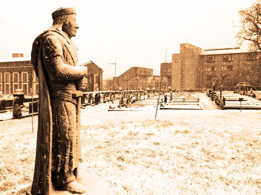 Photograph by Brendan gleeson