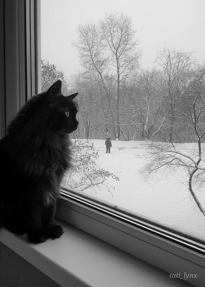 Photograph by Татьяна Лышенко