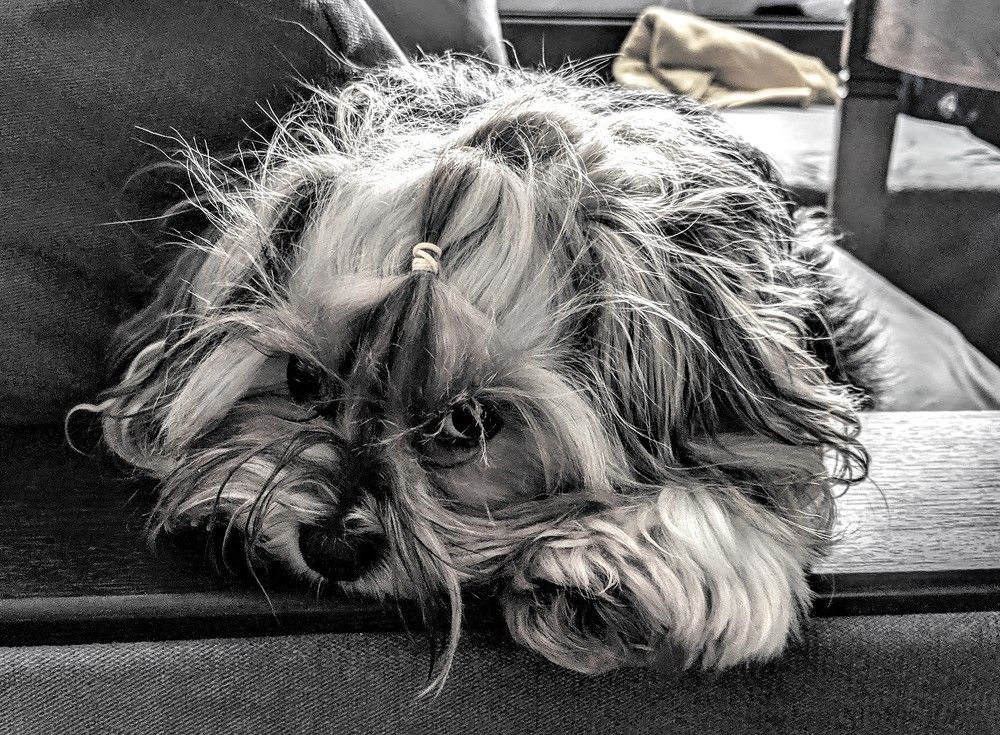 Photograph by Владимир Мерзляков