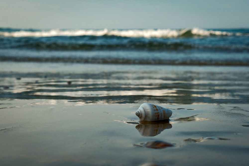 Photograph by Алёна Думнова