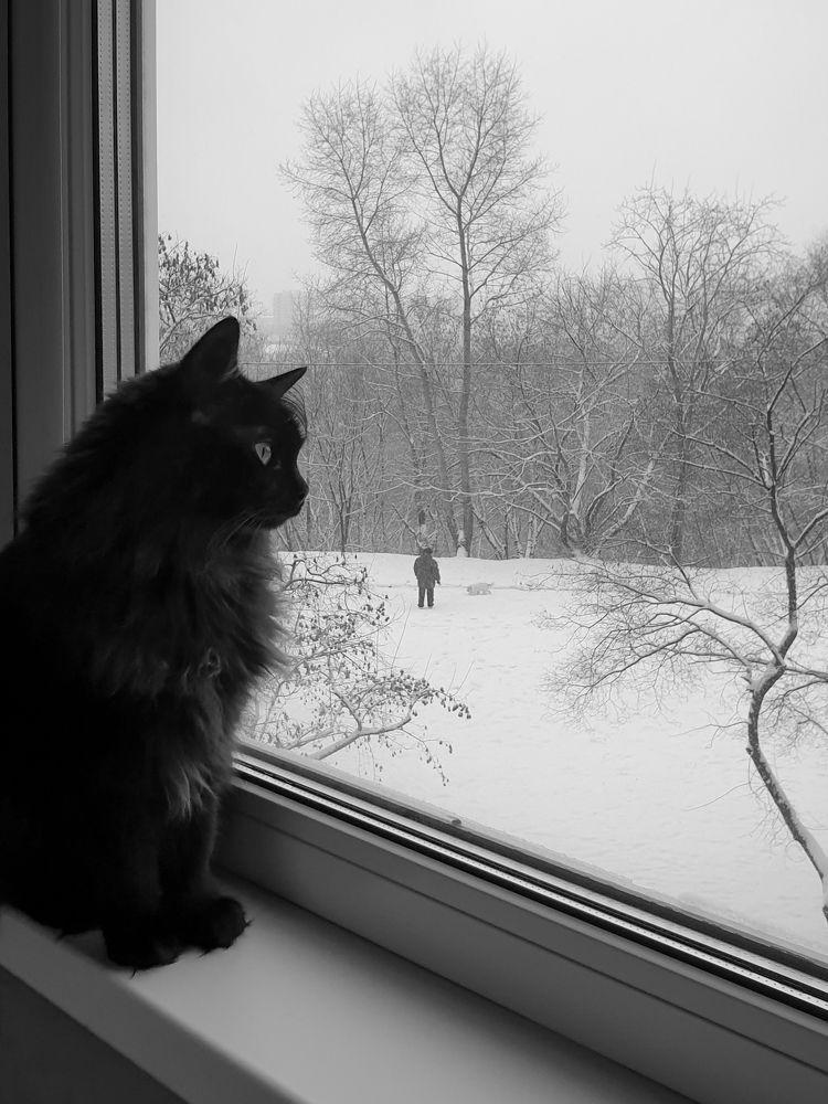 Photograph by Татьяна Лышенко