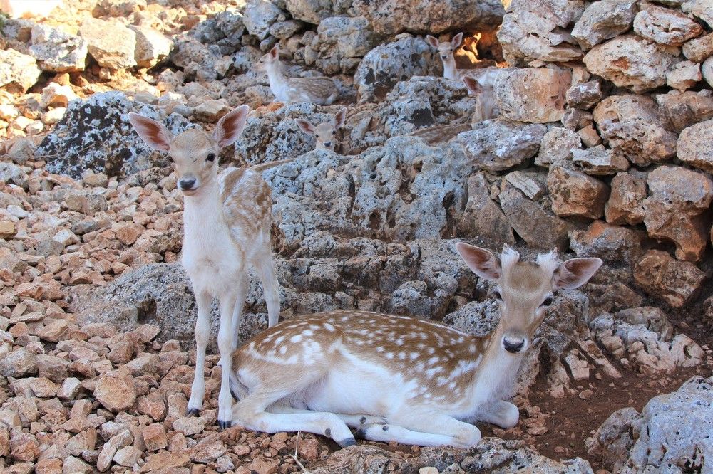 Photograph by Анастасия Сыротюк