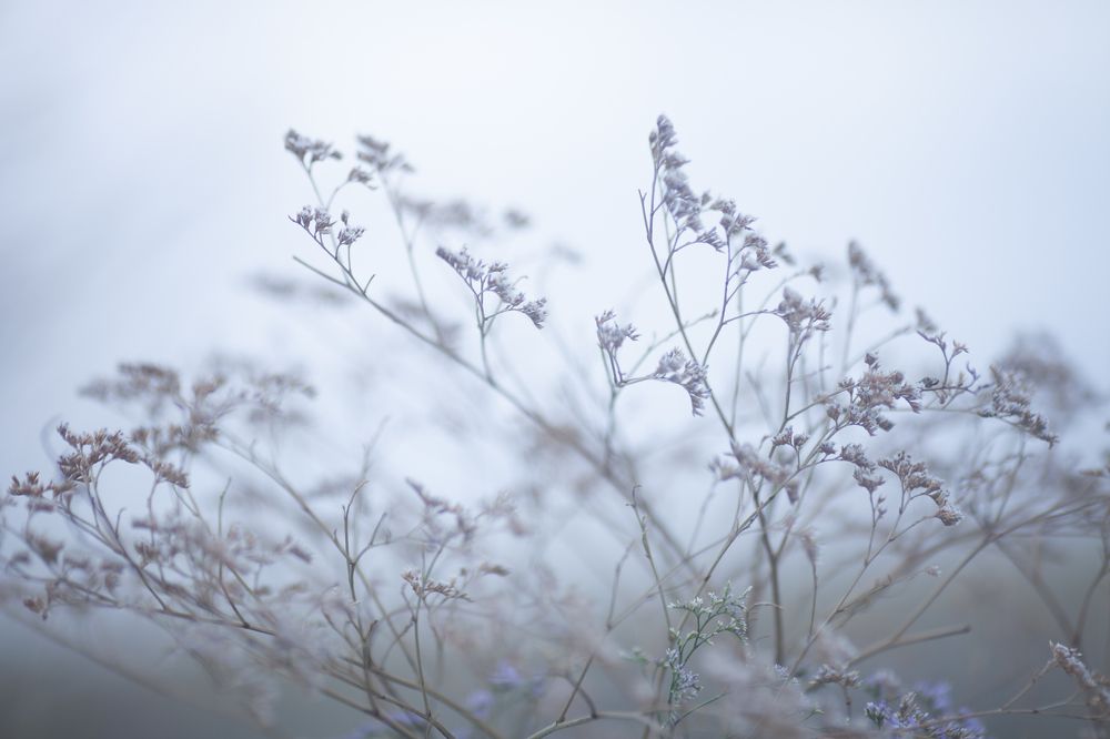 Photograph by Румянцева Мария