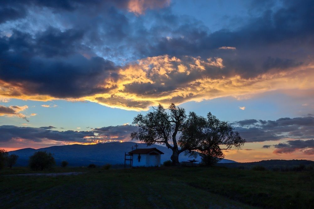 Photograph by Diana Dimova