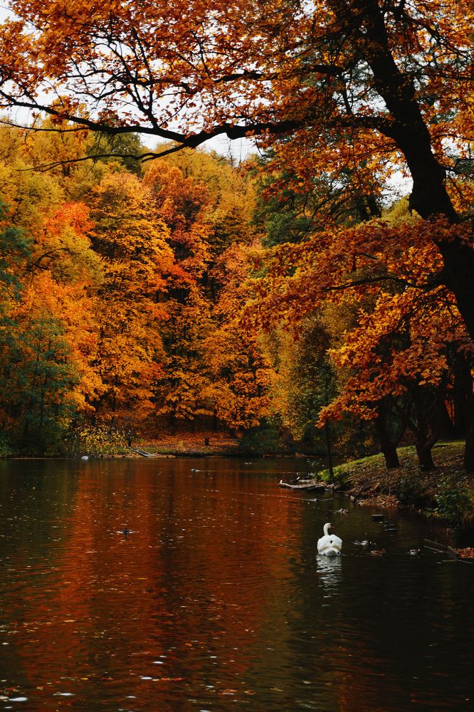 Photograph by Светлана