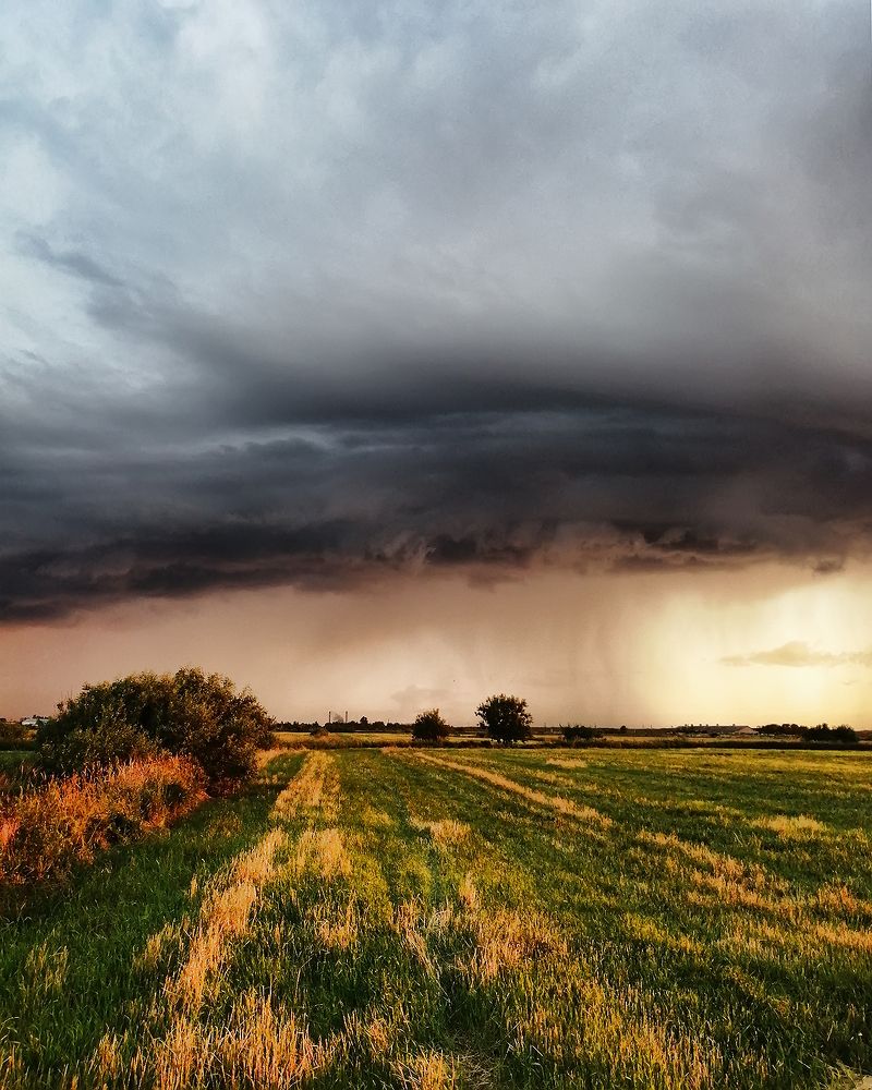 Перед бурей. Before the storm.