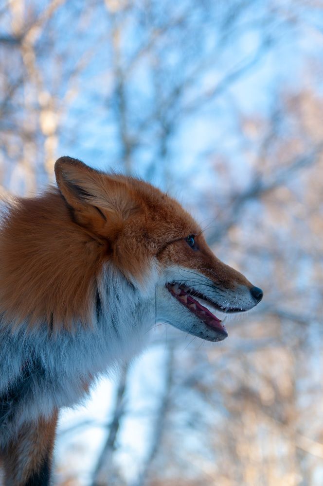 Photograph by Максим Афанасьев