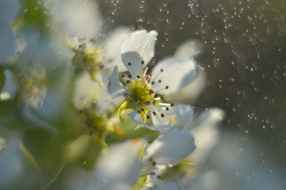 Photograph by Наталья Новкис