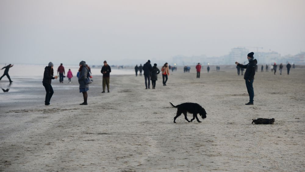 Photograph by Ludmila Stepnova