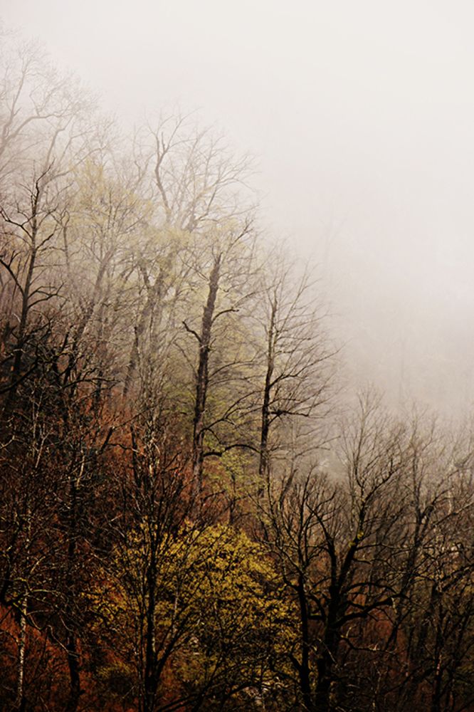 Photograph by Екатерина Ходус