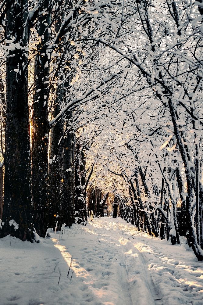 Photograph by Евгений Пивкин