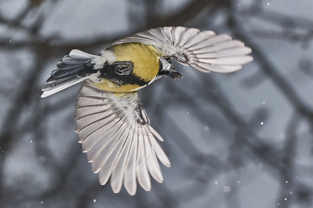 Фотография автора Владислав Храмцов