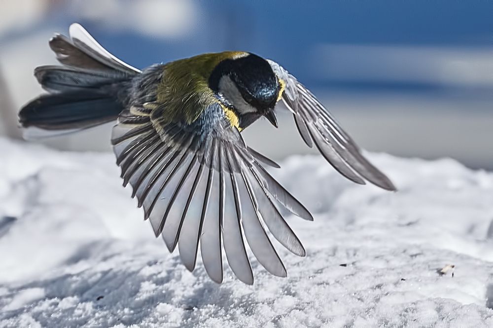 Фотография автора Владислав Храмцов
