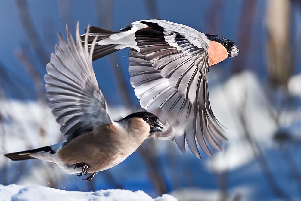 Фотография автора Владислав Храмцов