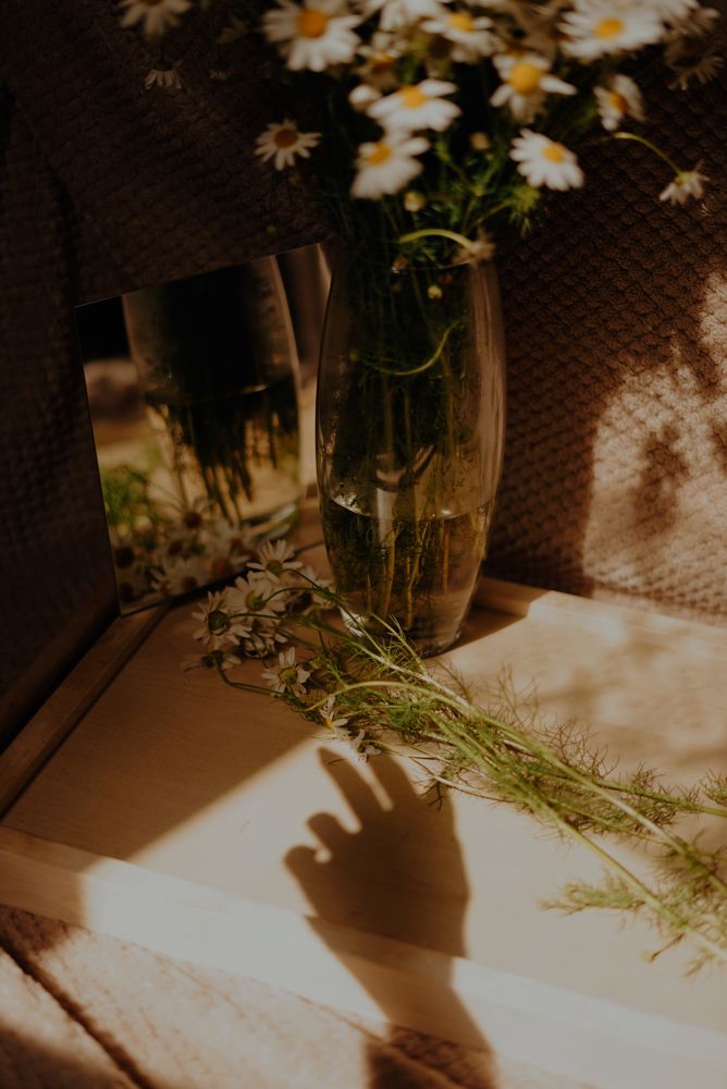 Photograph by Алена Лукашина