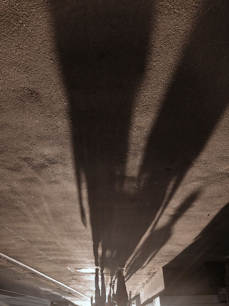 Photograph by Алена Лукашина