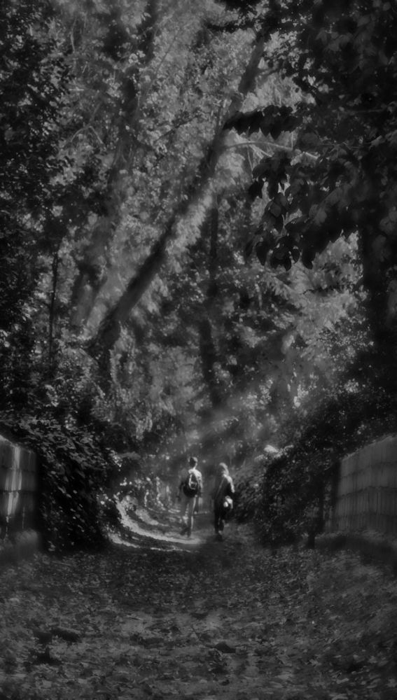 Photograph by Elnaz Eftekhari