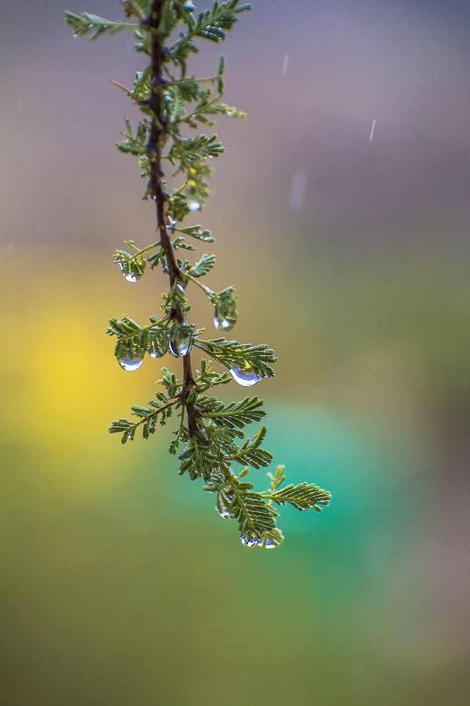 Photograph by Patricio Báez