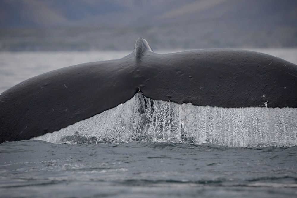 Photograph by Татьяна