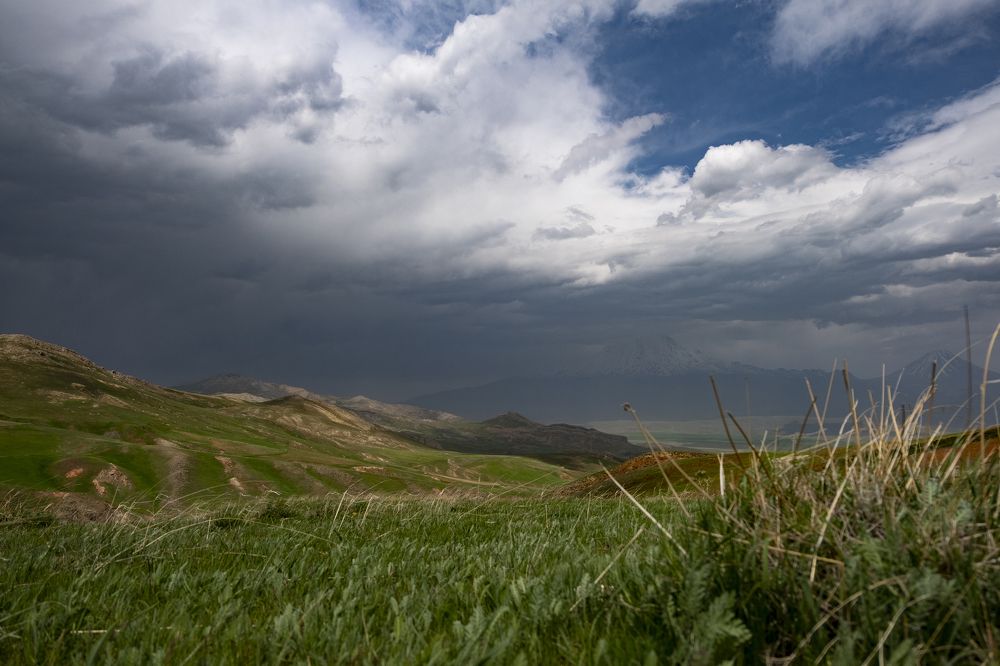 Photograph by Станислав Федашов