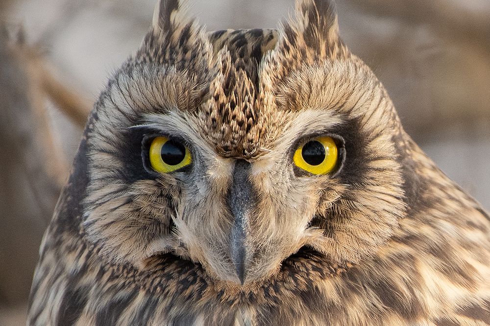 Photograph by Ashish Bhatt