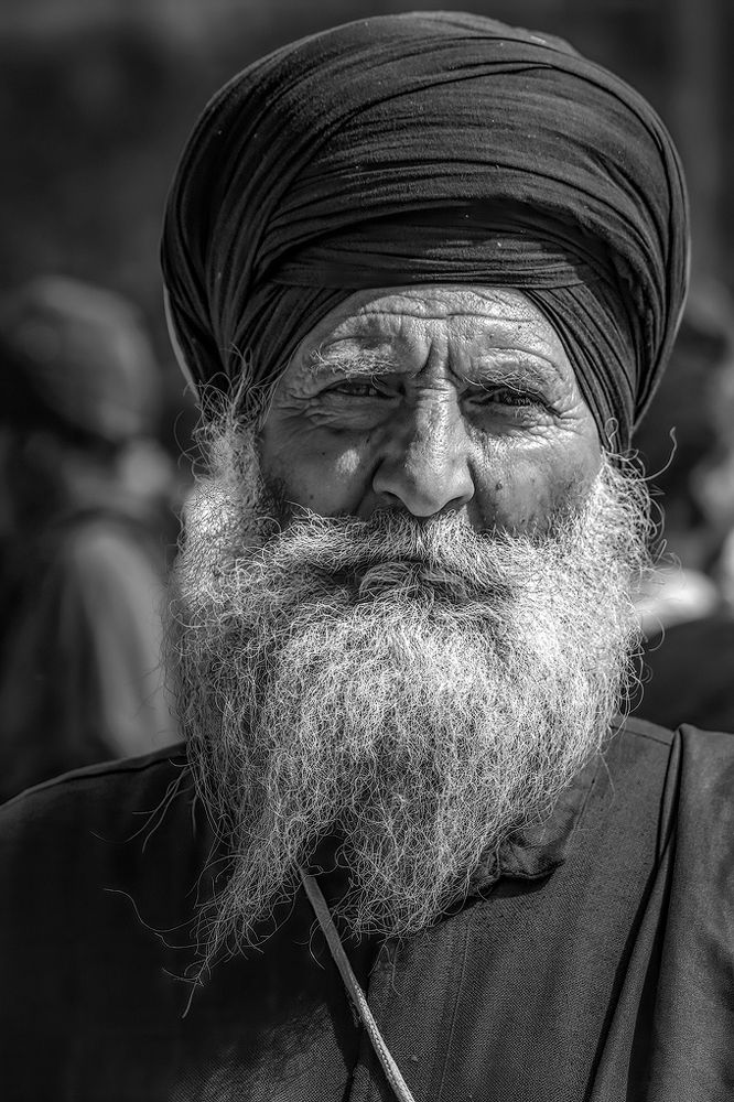 Фотография автора Shahrooz Esmaili