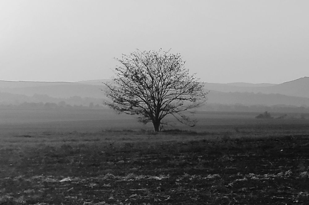 Photograph by Екатерина Ходус