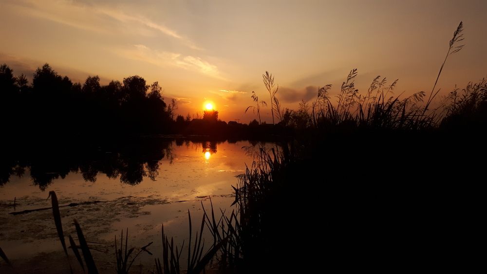 Photograph by Эдуард Калугин