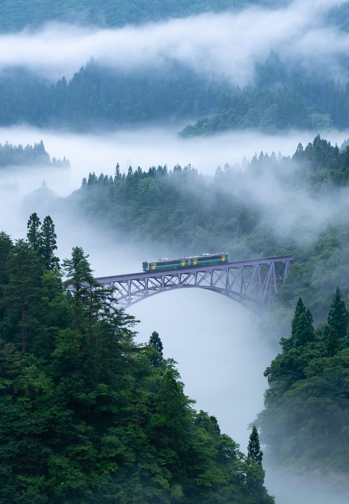 Photograph by Bao Ngoc Nguyen