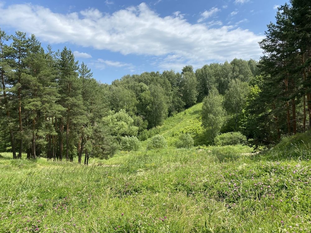 Photograph by Ksenya