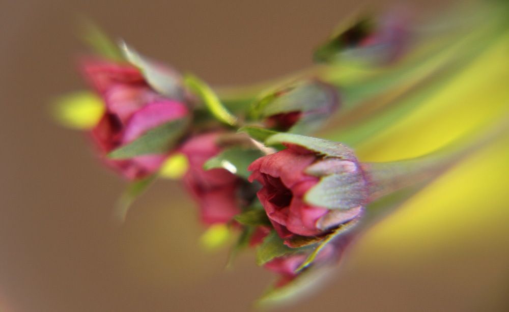 Photograph by Юрий Чистяков