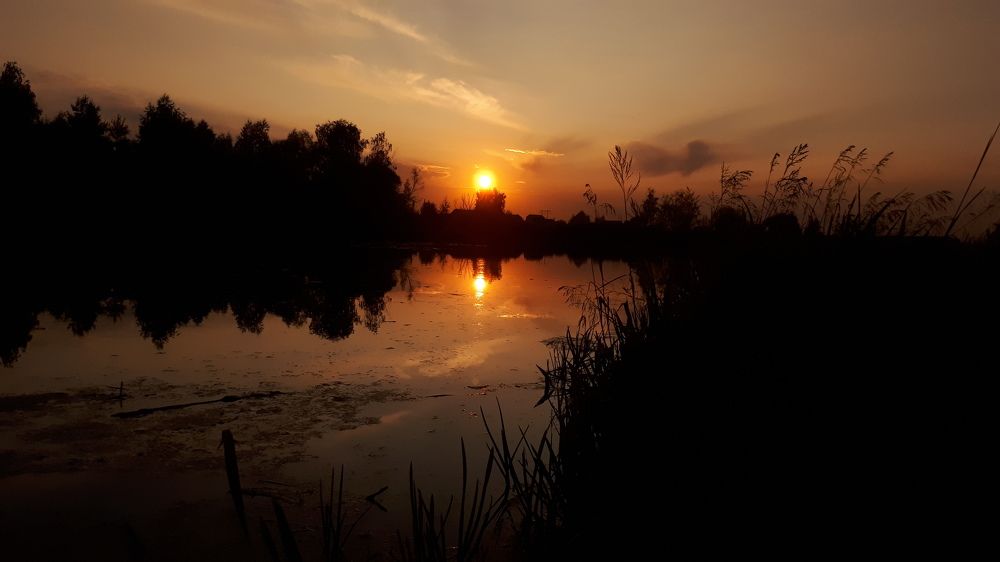 Photograph by Эдуард Калугин