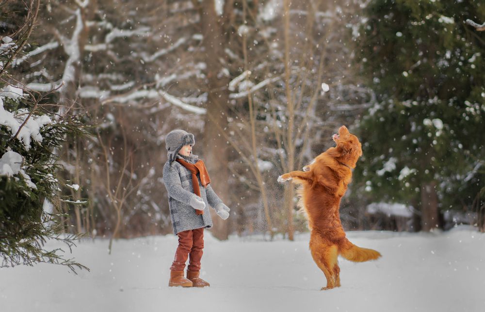 Photograph by Владимир Гордеев