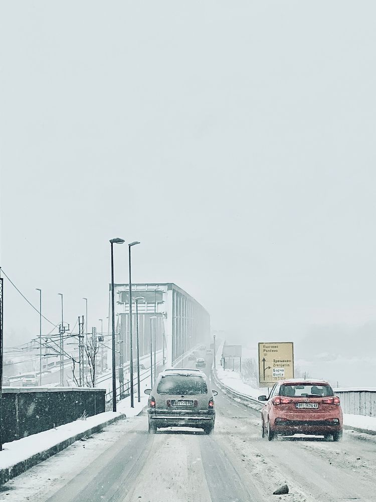 Photograph by Sasha Trudich