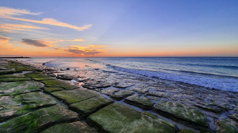 Photograph by Reza Vafadoust