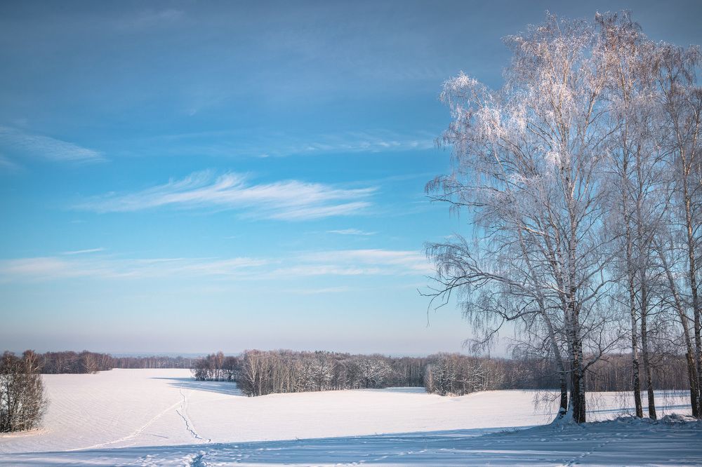 Озябшие модели.