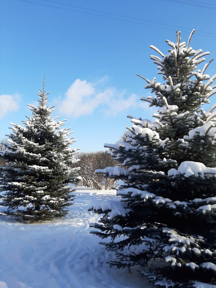 Фотография автора Светлана Дунаева