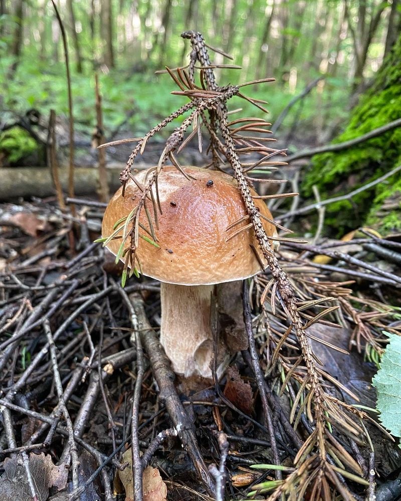 Photograph by София Захарова