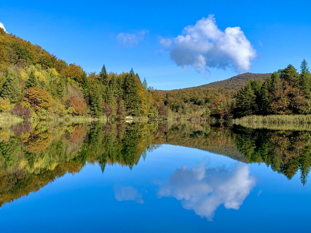 Photograph by Danica