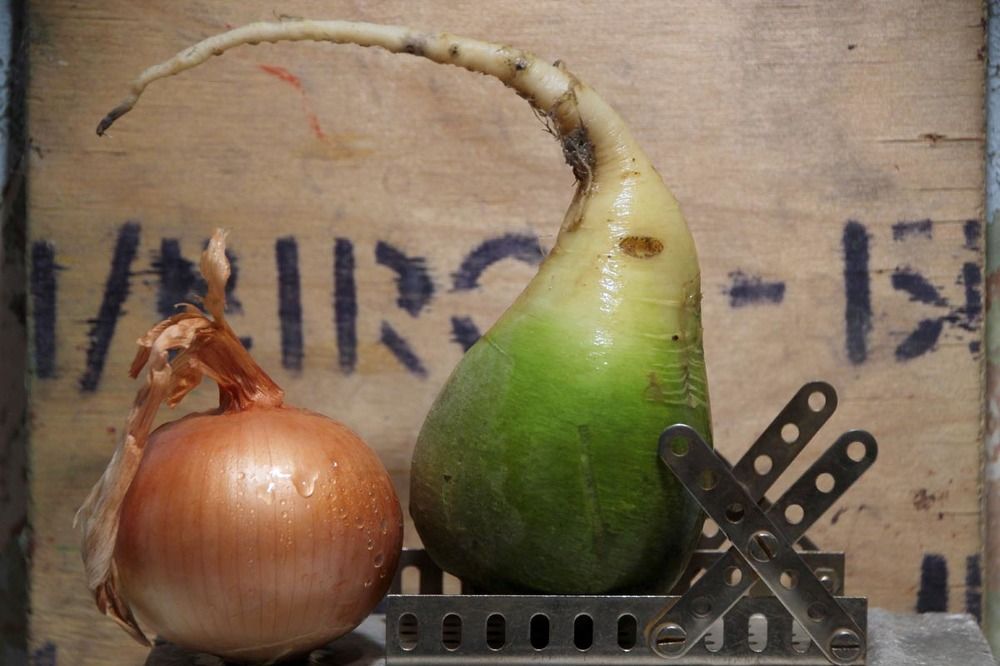 Photograph by БЕРТЕЛЬС ВАСИЛИЙ