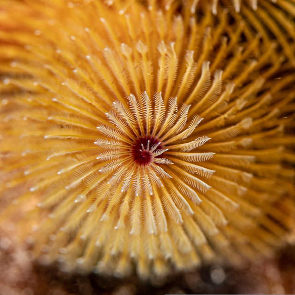 Photograph by Mizael Palomeque